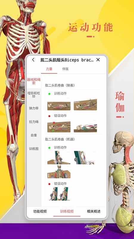 3Dbody解剖下载2023