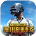 正版绝地求生pubg mobile免费手机版下载安装