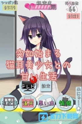 猫娘在家