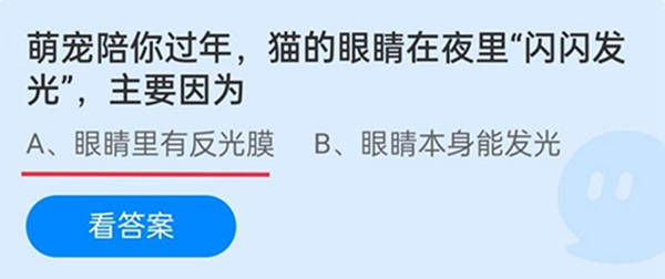 萌宠陪你过年，猫的眼睛在夜里“闪闪发光”，主要因为